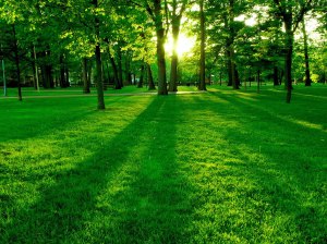 salir de las drogas es posible