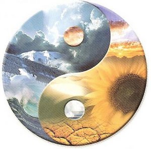 terapias naturales en vigo. Avenida de Martinez Garrido. www.centrodesaluz.es