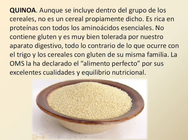 Nutricion y alimentacion no tóxica para una vida sana 1